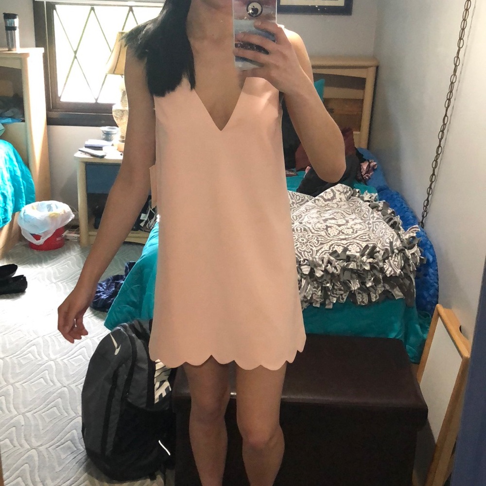 Pink Dress - Picture 6 of 6
